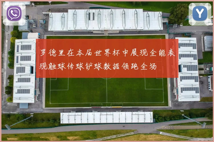 罗德里在本届世界杯中展现全能表现触球传球铲球数据领跑全场